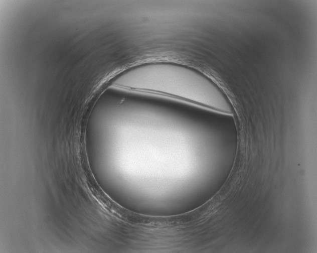 X0000080110434200612080959