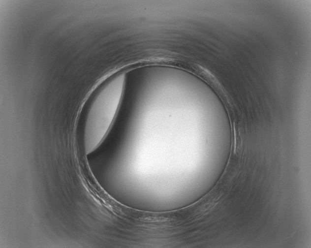 X0000080110435200612080959