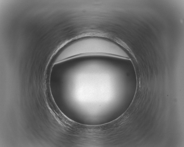 X0000080110436200612080959