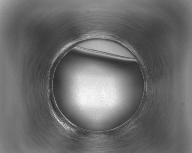 X0000080110438200612080959