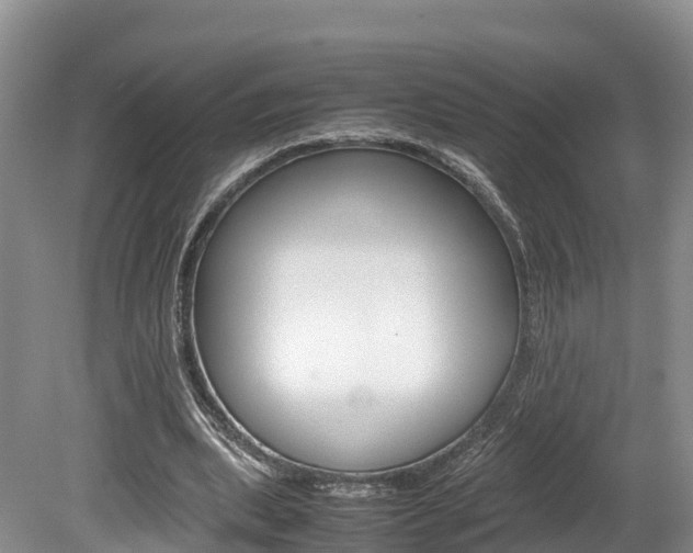 X0000080110439200612080959