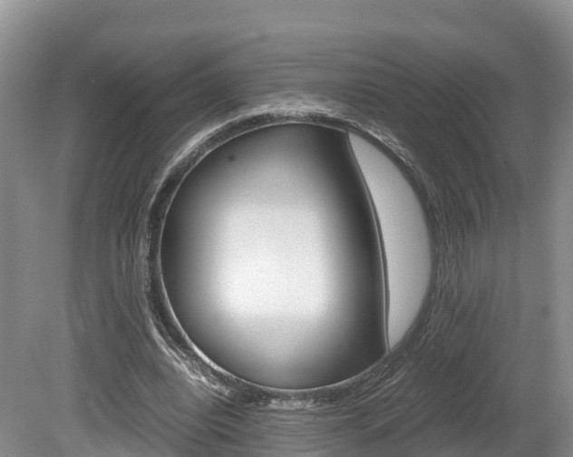 X0000080110440200612080959