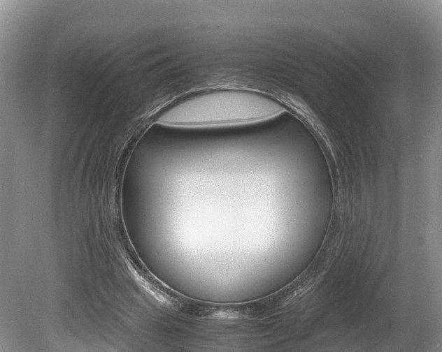 X0000080110441200612080959
