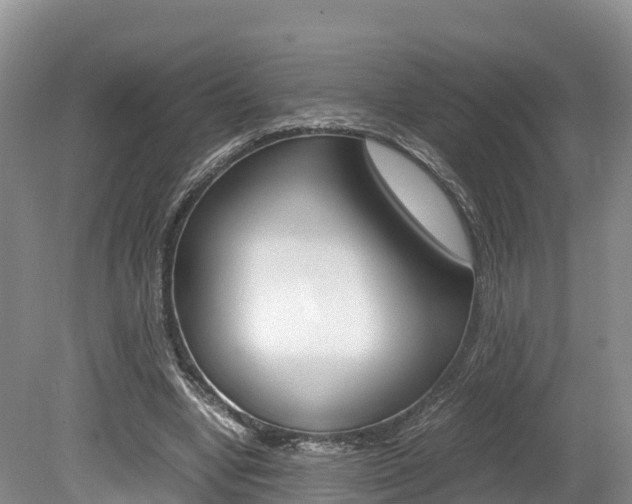 X0000080110442200612080959