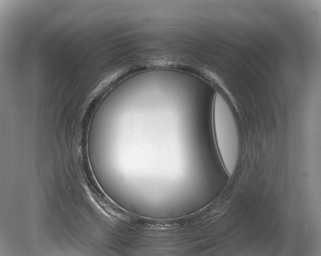 X0000080110443200612080959