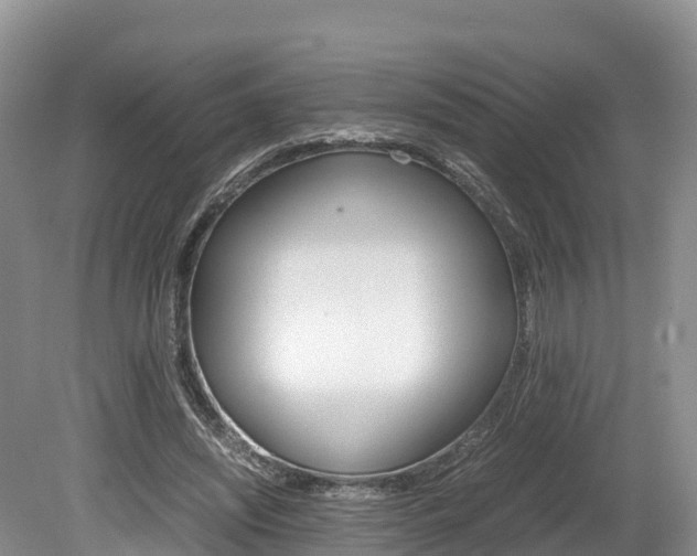 X0000080110444200612080959