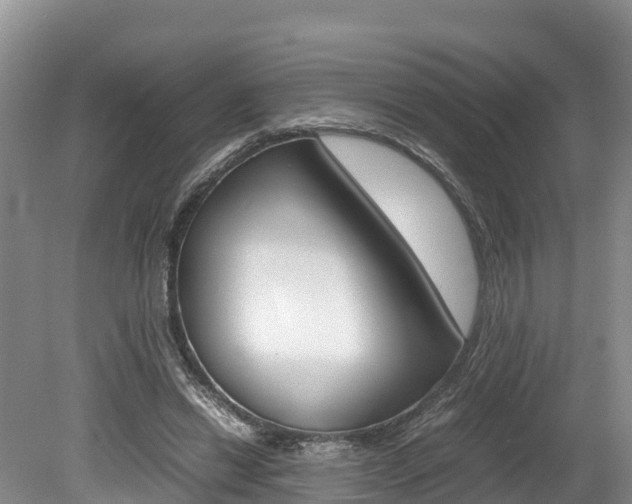 X0000080110446200612080959