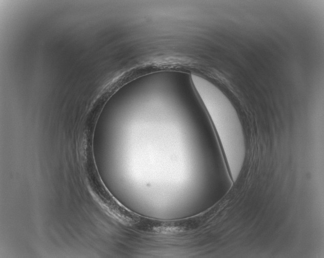 X0000080110448200612080959