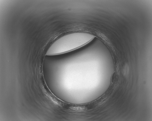 X0000080110449200612080959