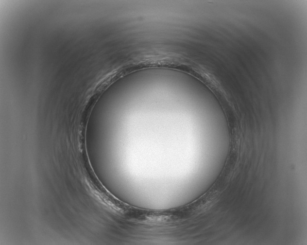 X0000080110450200612080959