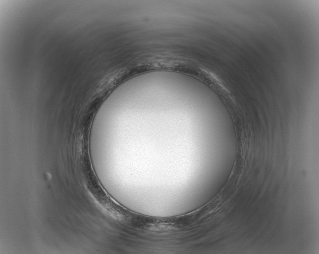 X0000080110451200612080959