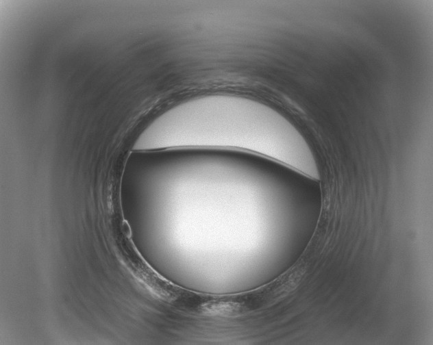 X0000080110452200612080959
