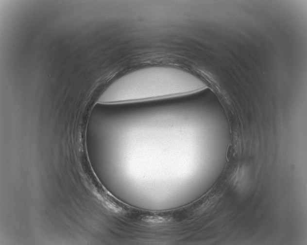X0000080110453200612080959