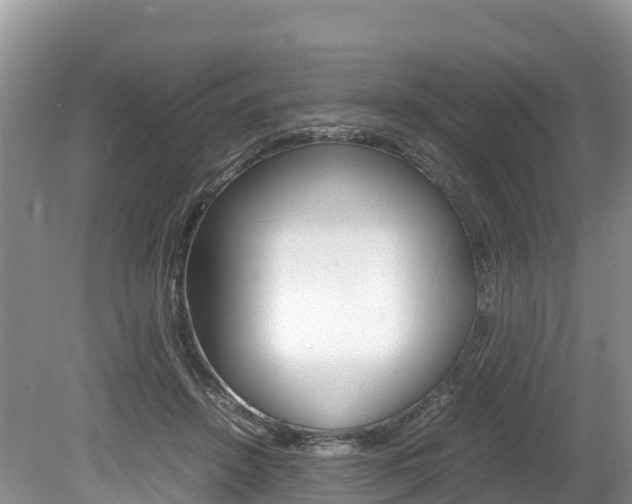 X0000080110456200612080959
