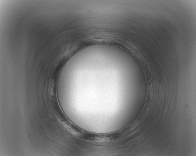 X0000080110458200612080959