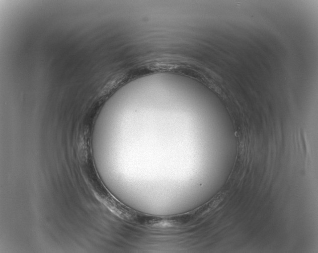 X0000080110460200612080959