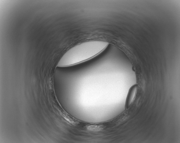 X0000080110465200612081000