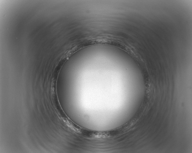 X0000080110466200612081000