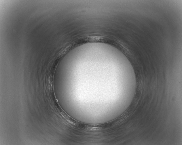 X0000080110467200612081000