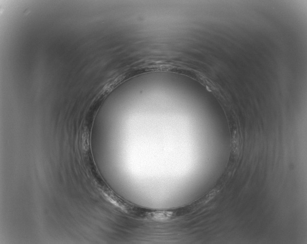 X0000080110474200612081000