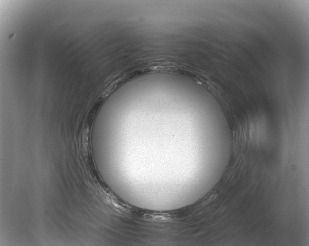 X0000080110475200612081000