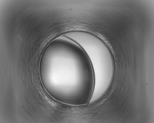 X0000080110481200612080959