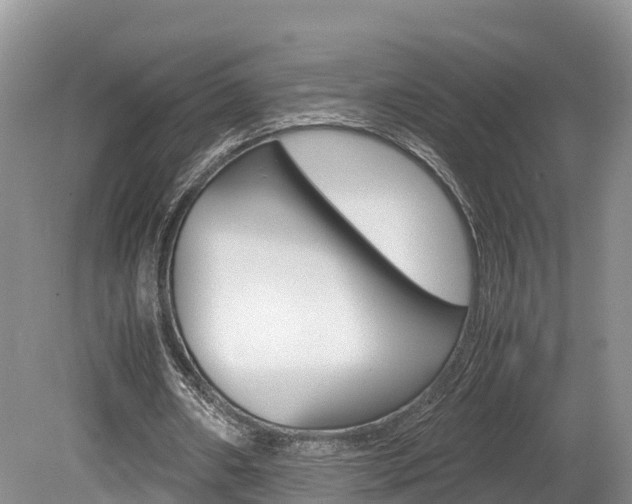 X0000080110482200612080959