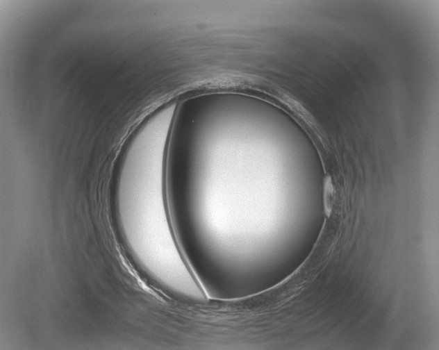 X0000080110485200612080959