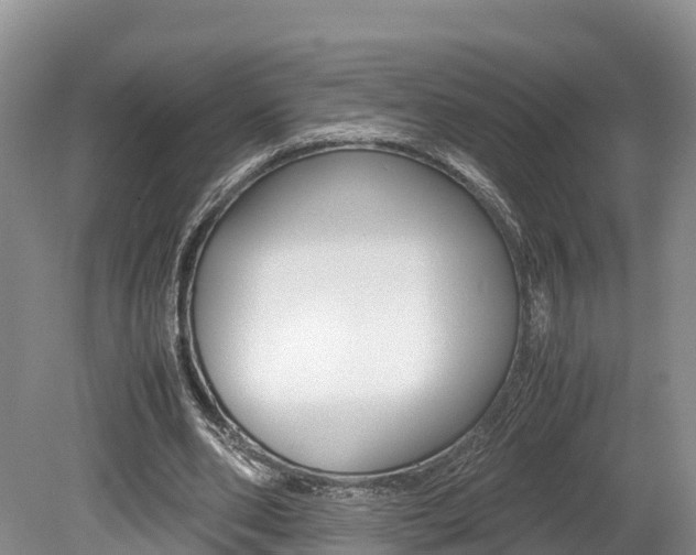 X0000080110486200612080959