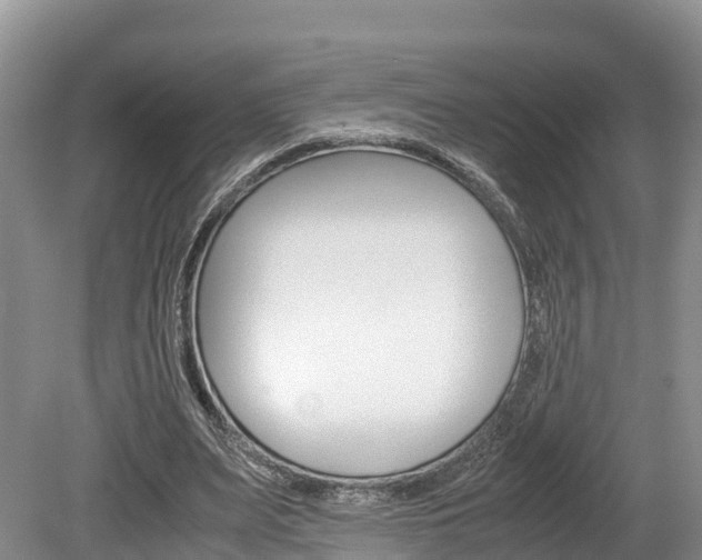 X0000080110487200612080959