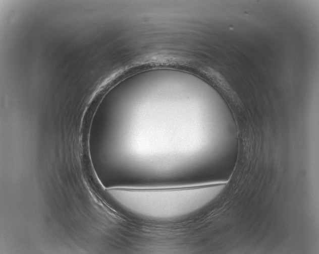 X0000080110488200612080959