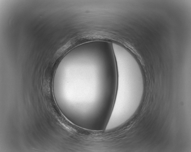 X0000080110489200612080959