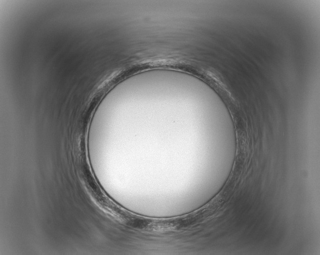 X0000080110491200612080959
