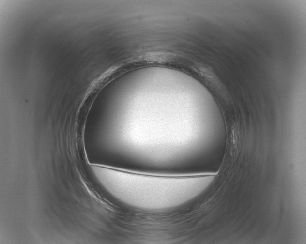 X0000080110492200612080959