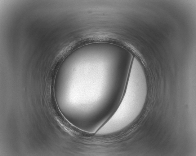 X0000080110493200612080959