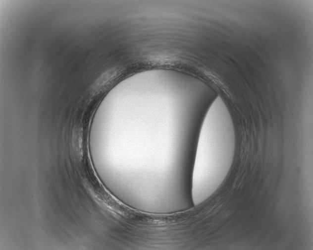 X0000080110494200612080959