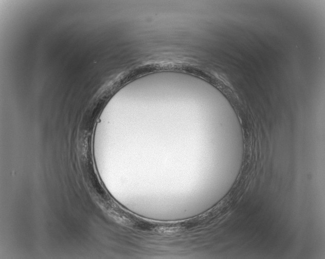 X0000080110495200612080959