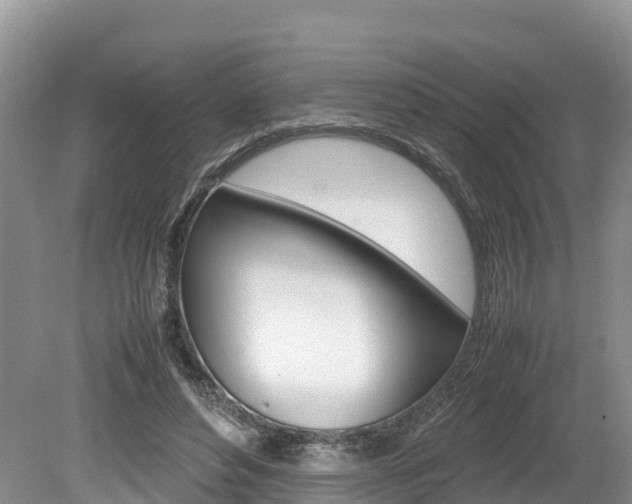 X0000080110496200612080959