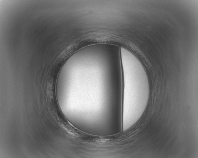 X0000080110497200612080959