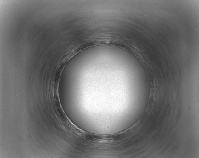 X0000080110504200612080959