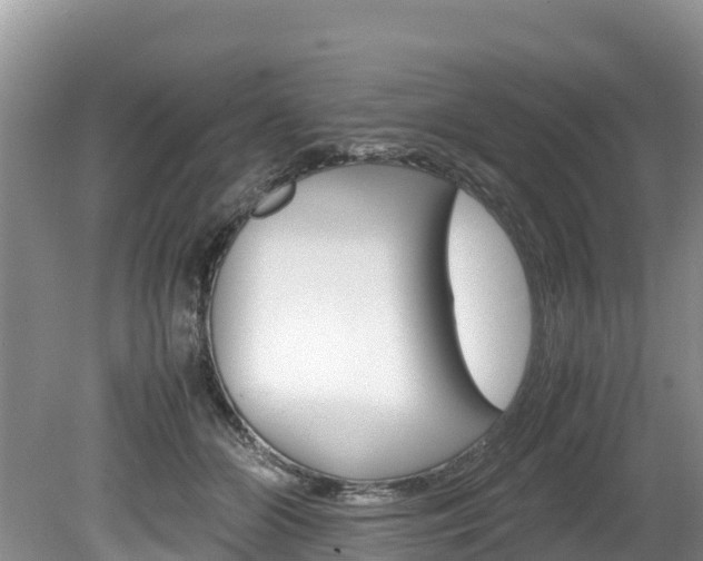 X0000080110510200612080959