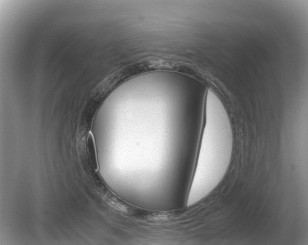 X0000080110513200612080958