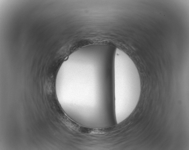 X0000080110515200612080958