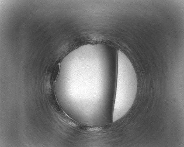 X0000080110516200612080958