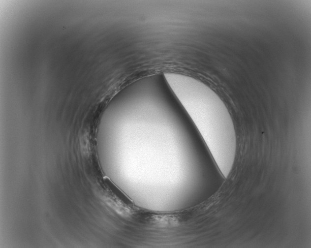 X0000080110520200612080958