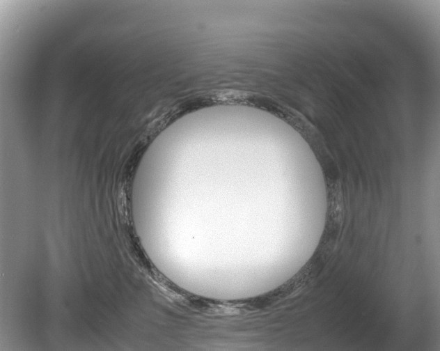 X0000080110523200612080958
