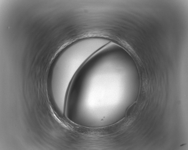 X0000080110530200612080957