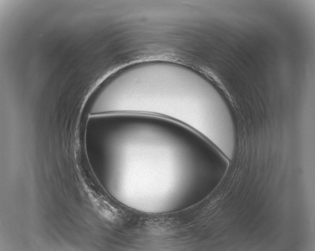 X0000080110532200612080957