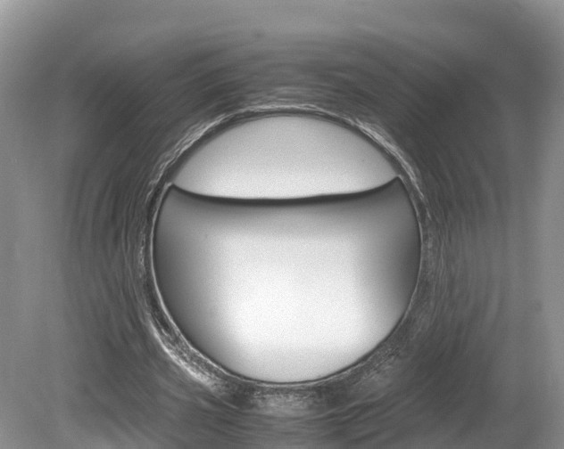 X0000080110533200612080957