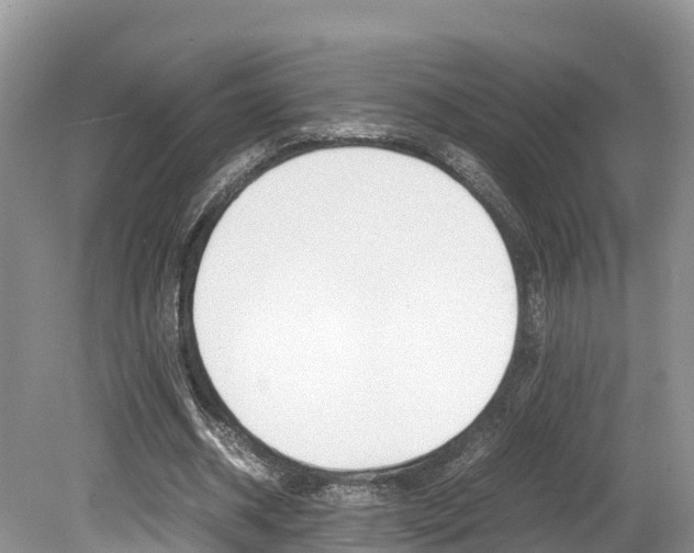 X0000080110534200612080957
